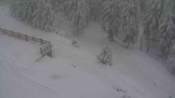 Přístup na běžeckou trať