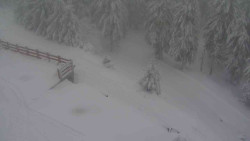 Přístup na běžeckou trať