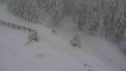 Přístup na běžeckou trať