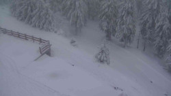 Přístup na běžeckou trať