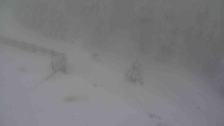 Přístup na běžeckou trať