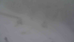 Přístup na běžeckou trať