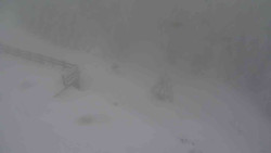 Přístup na běžeckou trať