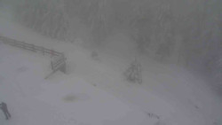 Přístup na běžeckou trať