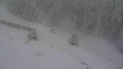 Přístup na běžeckou trať