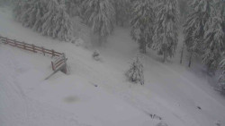 Přístup na běžeckou trať