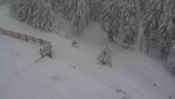 Přístup na běžeckou trať