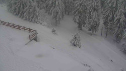 Přístup na běžeckou trať