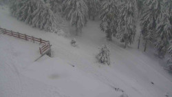 Přístup na běžeckou trať