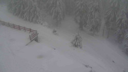 Přístup na běžeckou trať