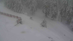 Přístup na běžeckou trať