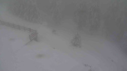 Přístup na běžeckou trať