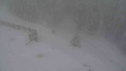 Přístup na běžeckou trať