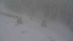 Přístup na běžeckou trať