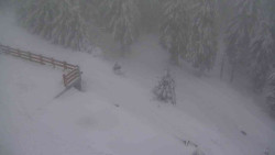 Přístup na běžeckou trať