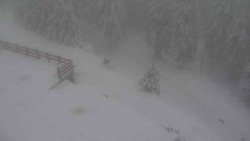 Přístup na běžeckou trať