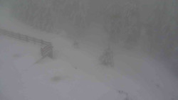 Přístup na běžeckou trať