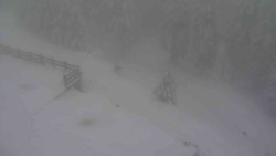 Přístup na běžeckou trať