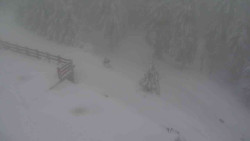 Přístup na běžeckou trať