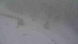 Přístup na běžeckou trať