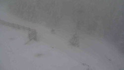 Přístup na běžeckou trať