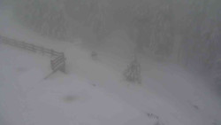 Přístup na běžeckou trať