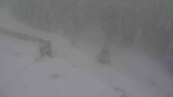 Přístup na běžeckou trať