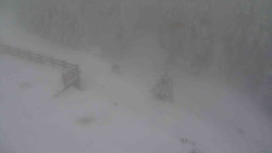 Přístup na běžeckou trať