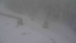 Přístup na běžeckou trať