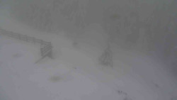 Přístup na běžeckou trať