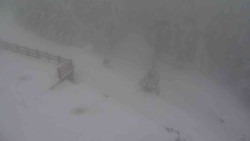 Přístup na běžeckou trať