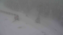 Přístup na běžeckou trať