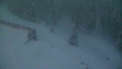 Přístup na běžeckou trať