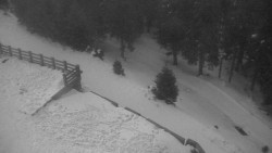 Přístup na běžeckou trať