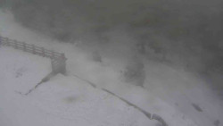 Přístup na běžeckou trať