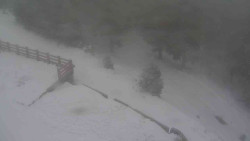 Přístup na běžeckou trať