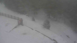 Přístup na běžeckou trať