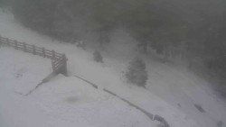 Přístup na běžeckou trať