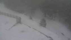 Přístup na běžeckou trať