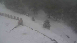 Přístup na běžeckou trať