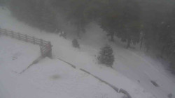 Přístup na běžeckou trať