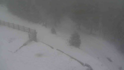 Přístup na běžeckou trať