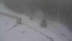 Přístup na běžeckou trať