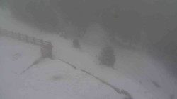 Přístup na běžeckou trať