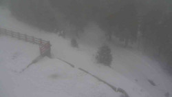 Přístup na běžeckou trať