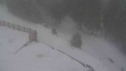 Přístup na běžeckou trať