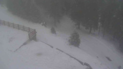 Přístup na běžeckou trať