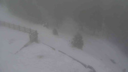 Přístup na běžeckou trať