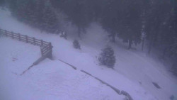 Přístup na běžeckou trať