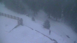 Přístup na běžeckou trať